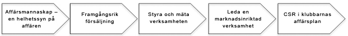 SEF-bild